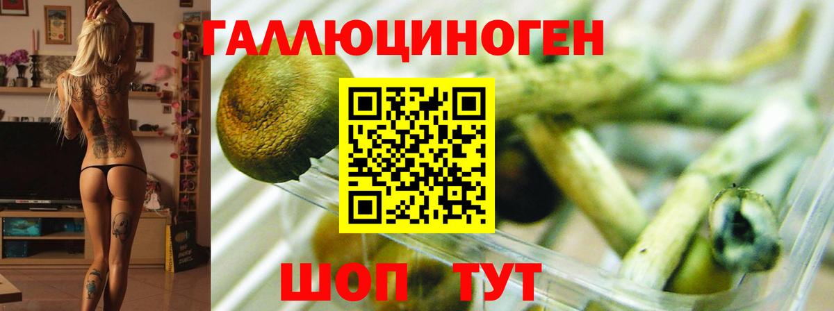 хочу наркоту  Вход с VPN  Наро-Фоминск  Галлюциногенные грибы Psilocybe  Псилоцибиновые грибы Psilocybine cubensis 