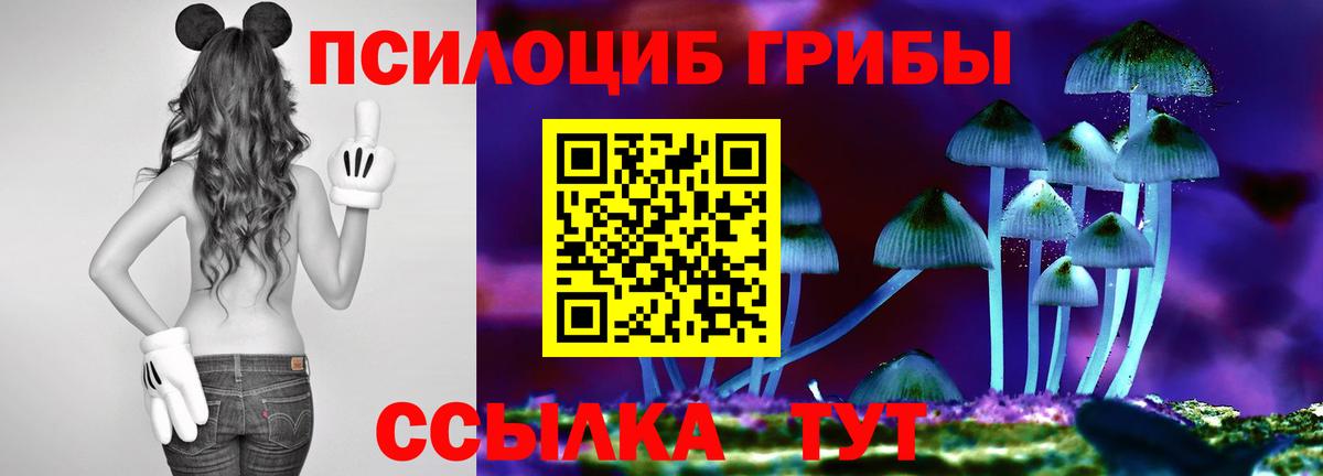 Галлюциногенные грибы ЛСД Наро-Фоминск